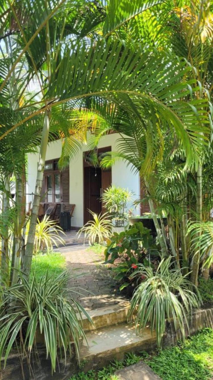 Mirewon Guest Hotel Weligama Kültér fotó