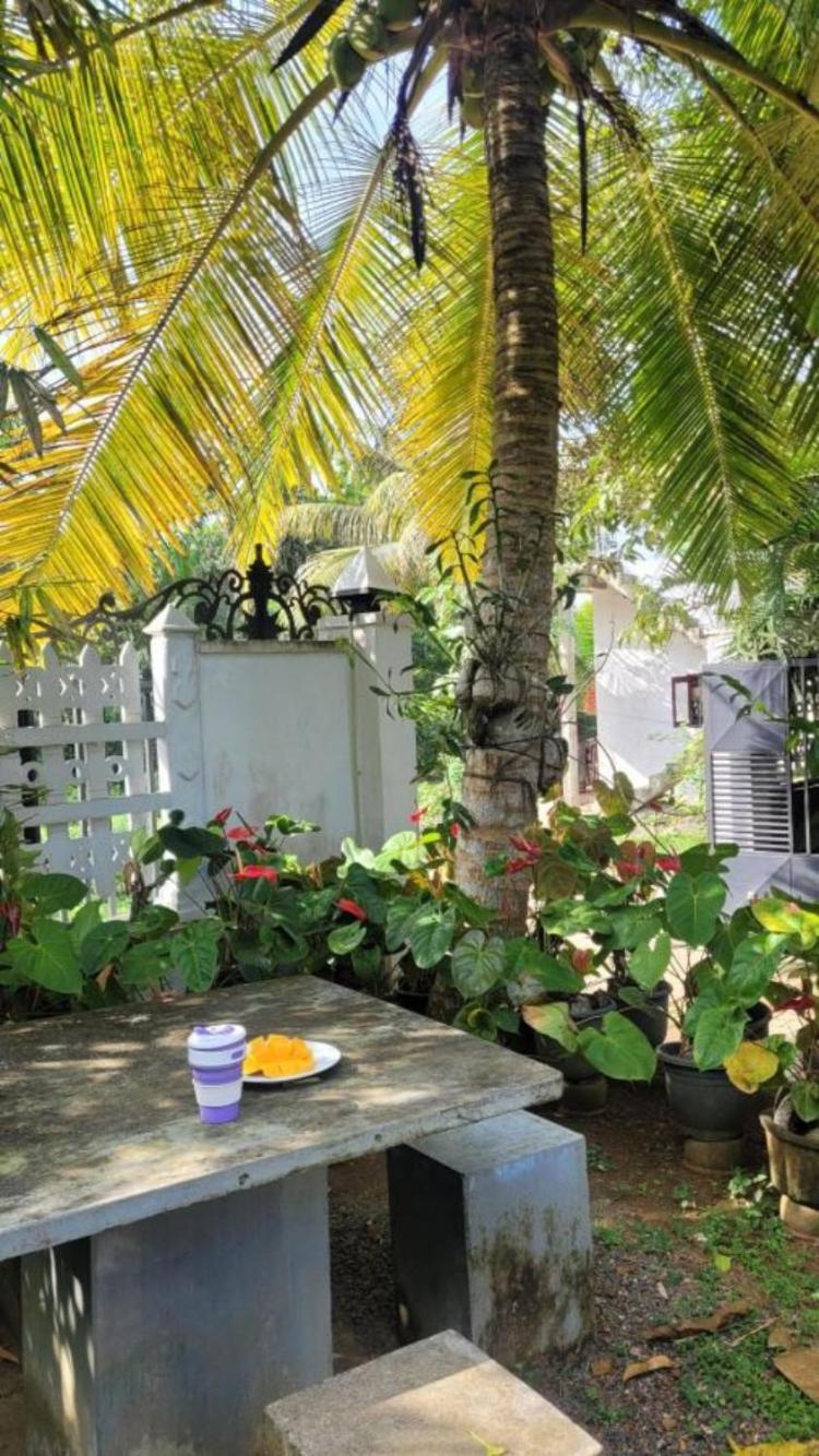 Mirewon Guest Hotel Weligama Kültér fotó